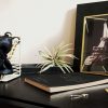 Premium A5 | Sketchbook | Notebook Better Ideas 2