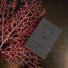 Premium A5 | Sketchbook | Notebook Impossible Fox I