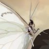 Butterfly whispers 1 Sara Baptista