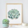 Watercolor Mint fresh serenity - splash of pink joy 2 - Sara Baptista