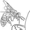 The Coloring Gardens 1 - Coloring Book - Sara Baptista