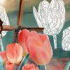 Tulip Chase- Sara Baptista 3